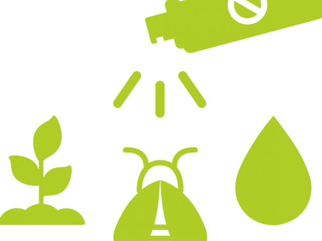 Environmental Clipart Importance Plant - Png Download (640x480), Png Download