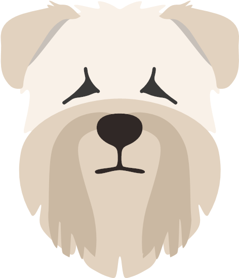 Our Super Stylish Personalised Wheaten Terrier Bowls Clipart (600x600), Png Download