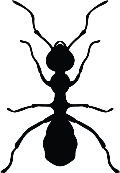Ants In Minnesota Homes And Offices Clipart (600x600), Png Download