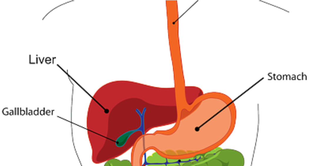 Medical Marijuana Research Clipart (1200x565), Png Download