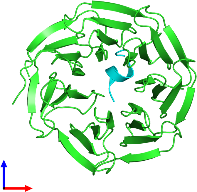 Pdb 4ewr Coloured By Chain And Viewed From The Front Clipart (800x800), Png Download
