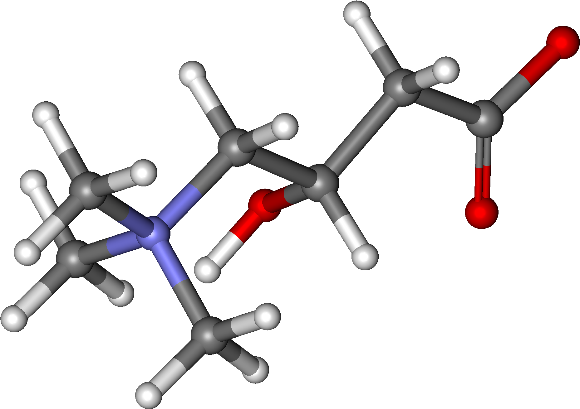 Carnitine And Athletic Performance Clipart (2000x1418), Png Download