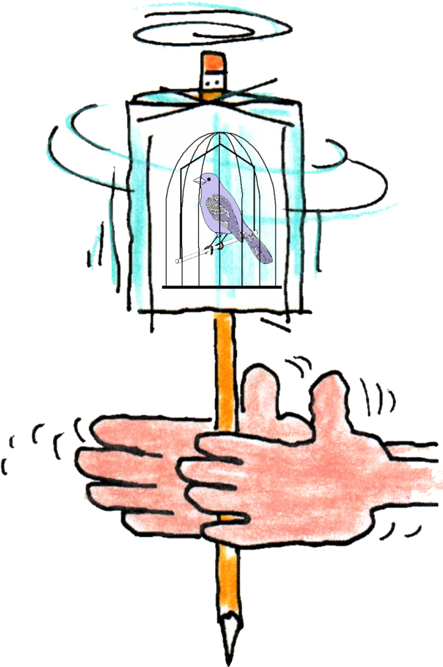 Spin A Bird Cage Clipart (667x1024), Png Download