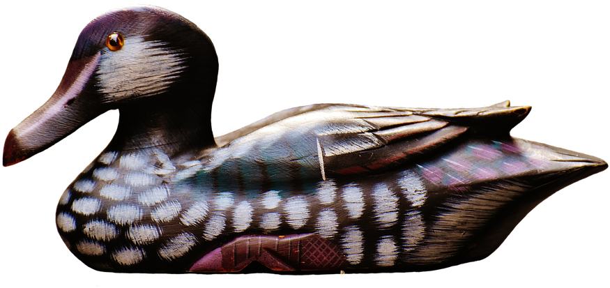 Clipart Duck Mallard Duck - Png Download (960x517), Png Download