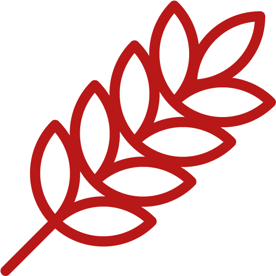 Most Producers Don't Know If All Of Their Cows Are Clipart (1080x1080), Png Download