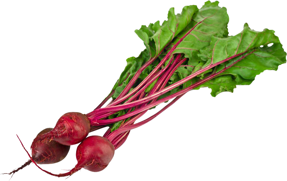 Beet Png Clipart (974x616), Png Download