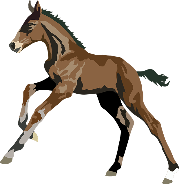 Realistic Horse Art Clipart (618x636), Png Download