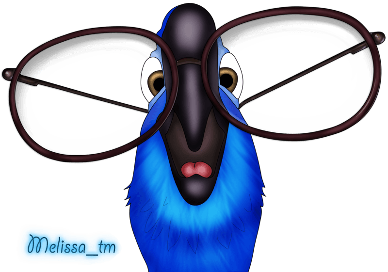 Rio Favourites By Domenica Clipart (800x561), Png Download