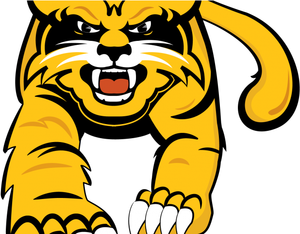 Wildcat Clipart Yellow - Png Download (640x480), Png Download