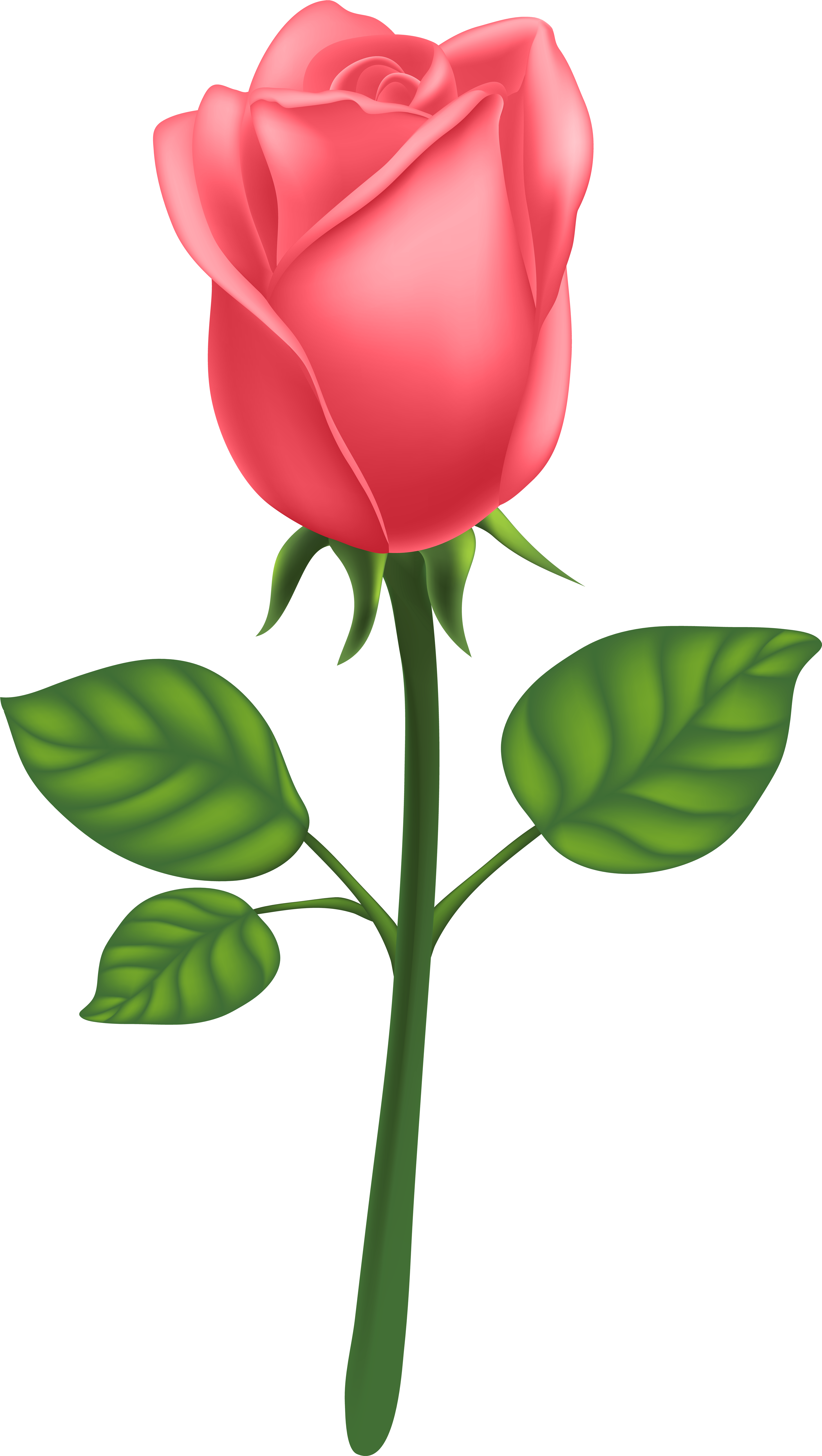 View Full Size Clipart (4546x8000), Png Download