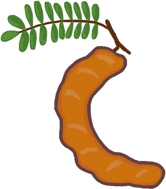 Silverpower Tamarind Silverpower Clipart (723x777), Png Download