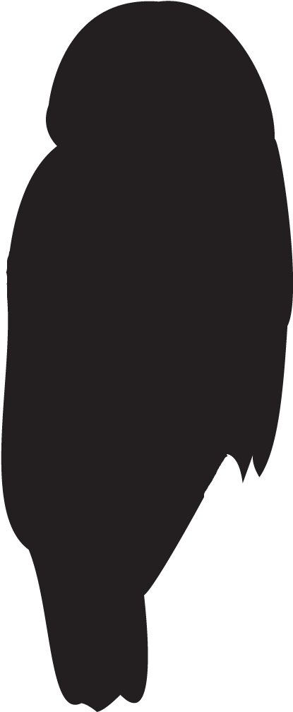 Northern Spotted Owl Clipart (1048x1053), Png Download