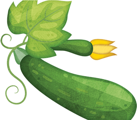 Zucchini Clipart Clip Art - Png Download (640x480), Png Download