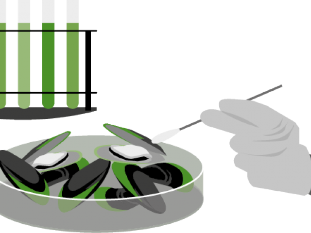 Japanese Food Clipart Church - Png Download (640x480), Png Download