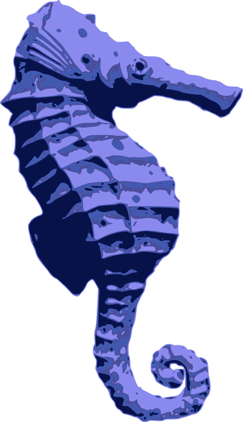 Blue Seahorse Clipart (800x1387), Png Download
