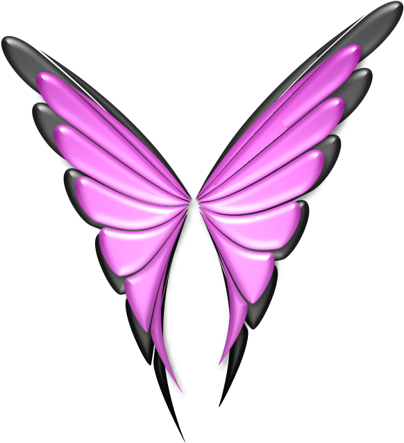 Butterfly Image Clipart (684x737), Png Download
