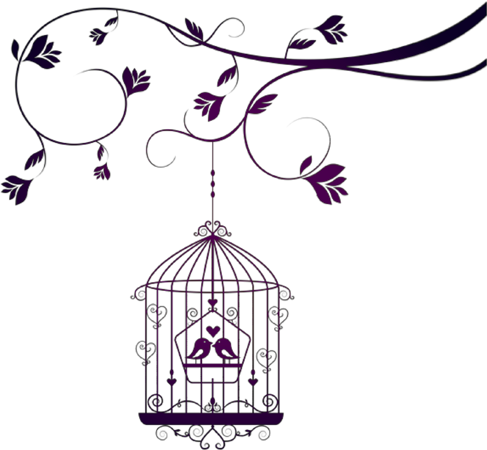 Birds Aves Pájaros Pajaros Rama Branch Jaula Cage Amor Clipart (978x904), Png Download