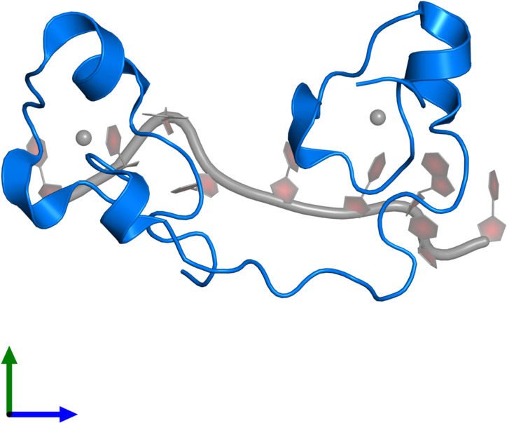 <div Class='caption-body'>pdb Entry 1rgo Contains 1 Clipart (800x800), Png Download