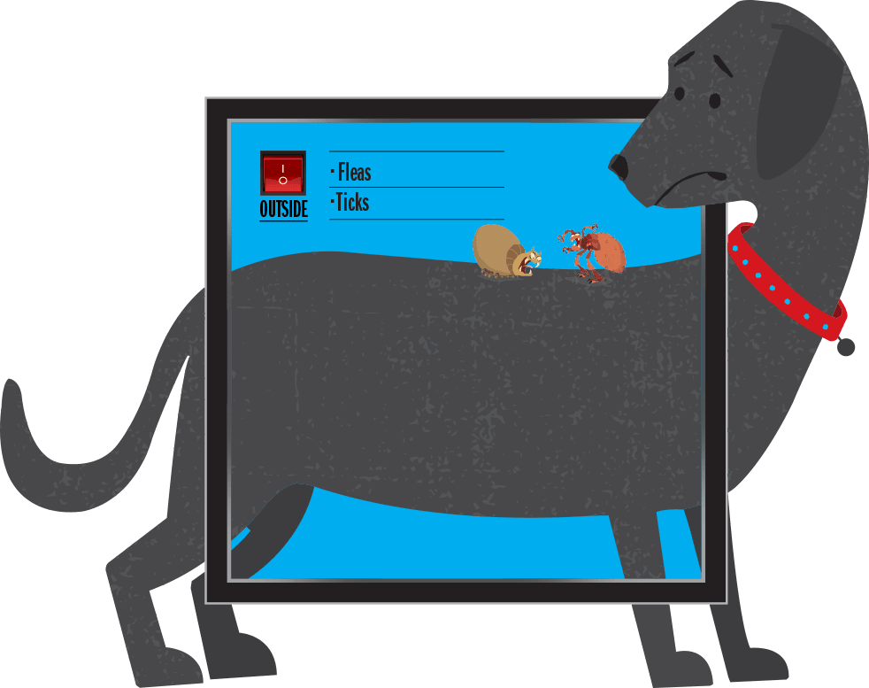 Ticks And Fleas Inhabit The Outside Of A Dog Clipart (982x777), Png Download