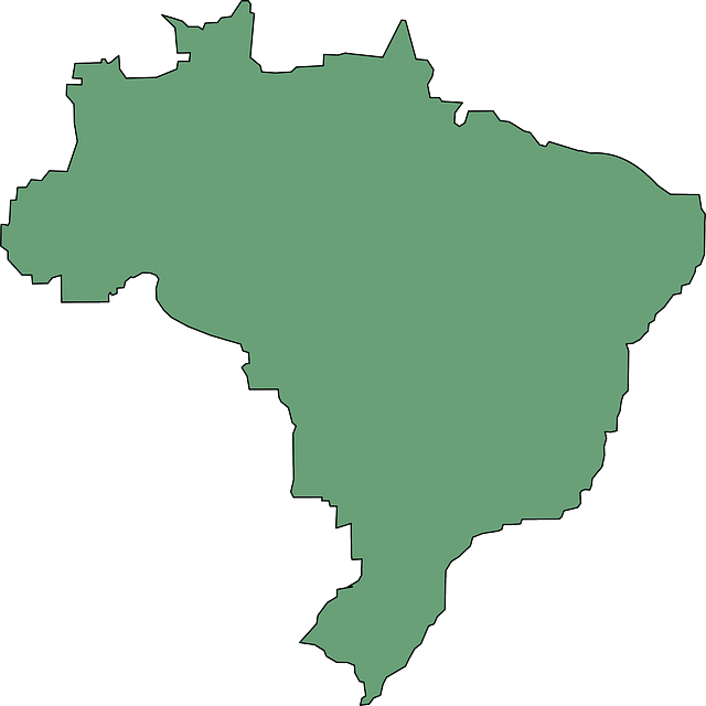 Brazil Marcelo Maps Clipart - Png Download (637x900), Png Download
