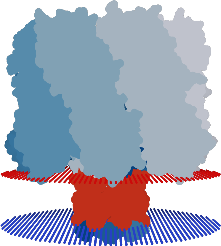 Transmembrane Flat Surface Display Opm Clipart (1000x1000), Png Download