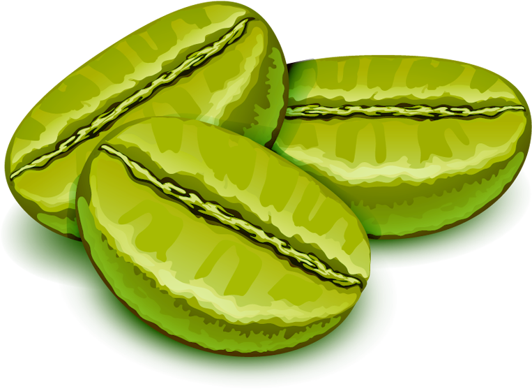 Great Coffee Beans Have Specific Characteristics That Clipart (787x698), Png Download