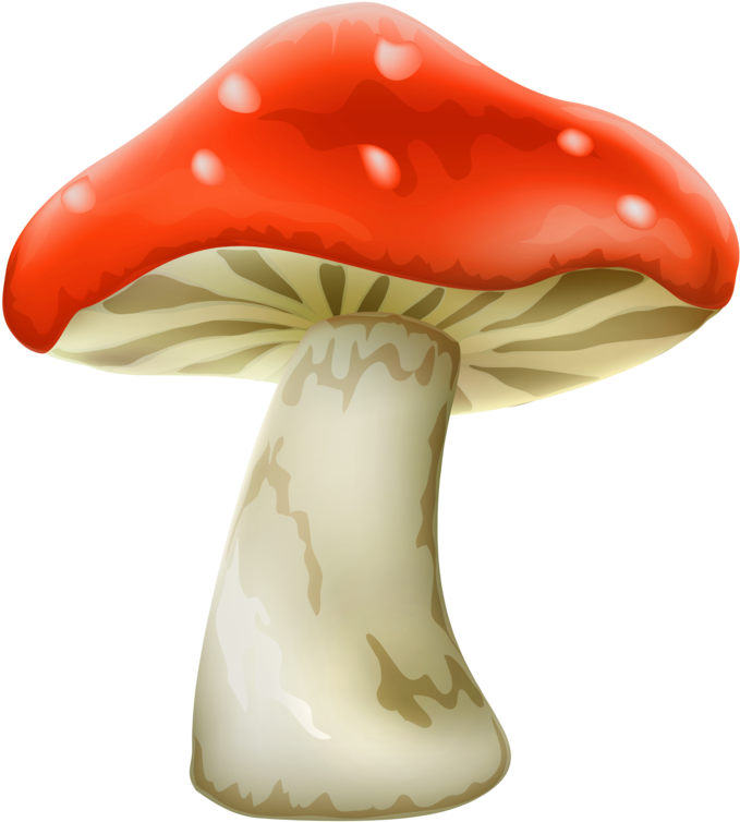 Pin Mushroom Clipart Red Mush - Png Download (800x782), Png Download