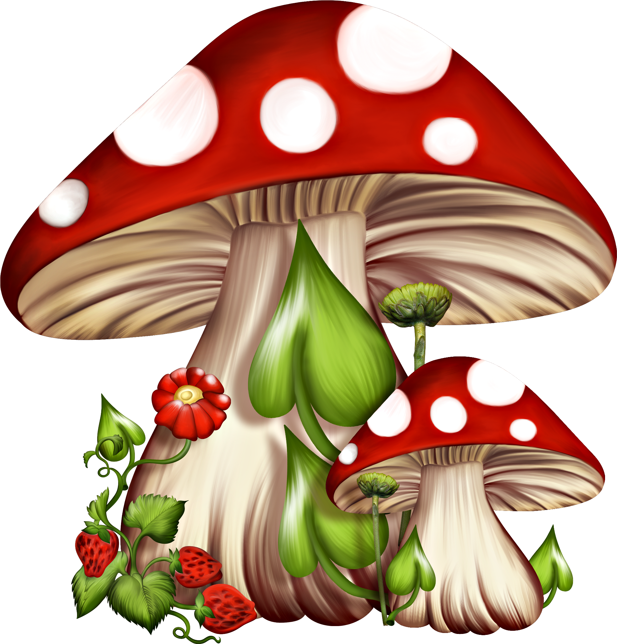 Red And White Mushrooms Clipart (1999x2082), Png Download