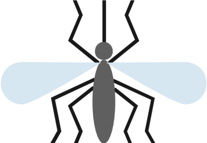 Health Officials See Increased Risk Of Mosquito-borne Clipart (747x467), Png Download
