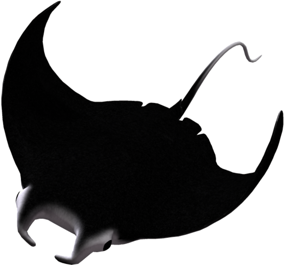 Manta Ray Silhouette At Getdrawings Clipart (1024x639), Png Download