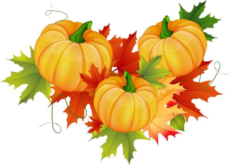 See Here Pumpkin Clipart Black And White Free Images - Png Download (800x594), Png Download