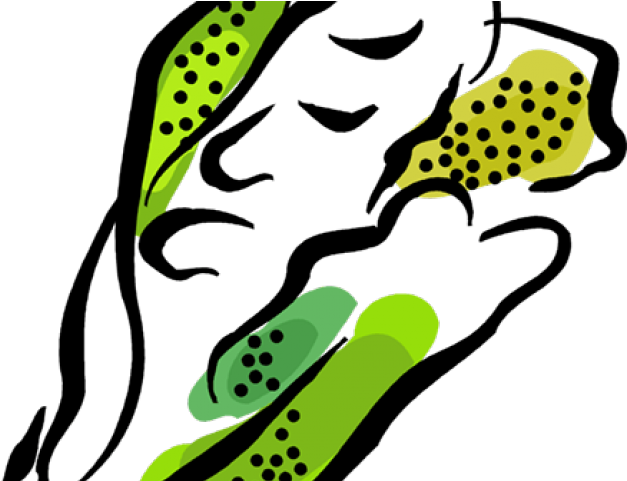 Lettuce Clipart Romaine Lettuce - Png Download (640x480), Png Download