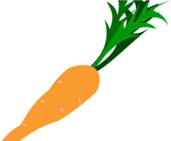 Carrot Clipart Lettuce - Png Download (640x480), Png Download