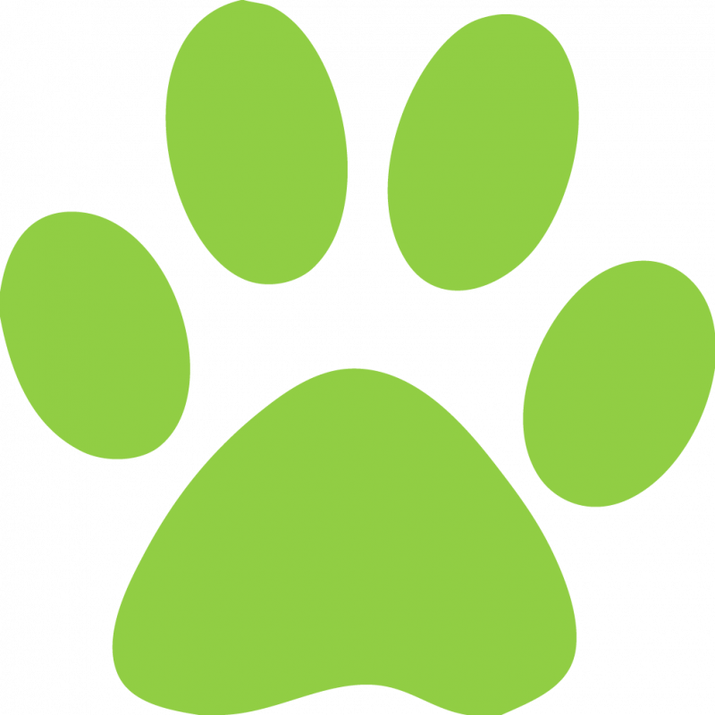 Custom Cat Paw Temporary Tattoos Clipart (800x800), Png Download