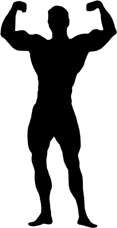 Female Bodybuilding Clip Art - Png Download (470x915), Png Download