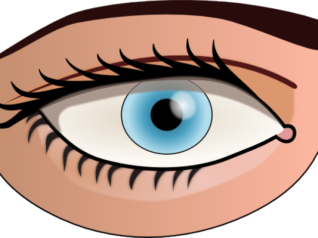 Eye Art Clip - Png Download (640x480), Png Download