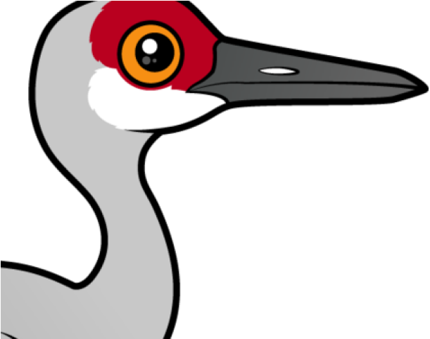 Sandhill Crane Clipart Greater - Png Download (640x480), Png Download