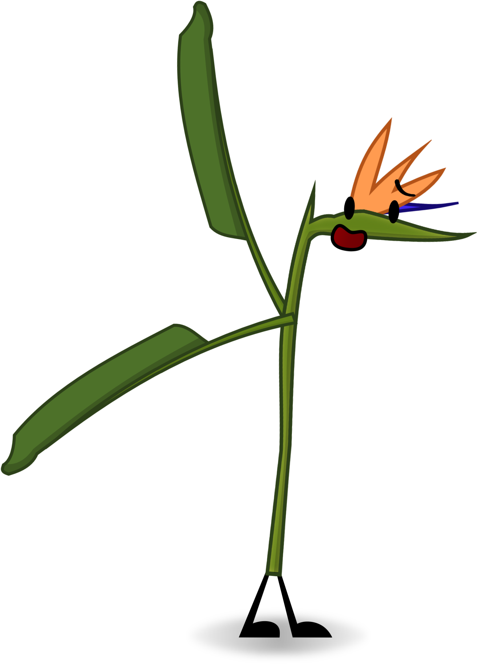 Crane Flower Clipart (1613x2166), Png Download