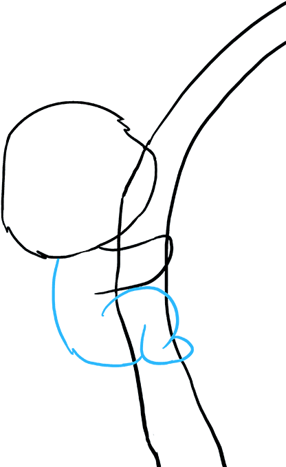 How To Draw Koala Clipart (680x678), Png Download