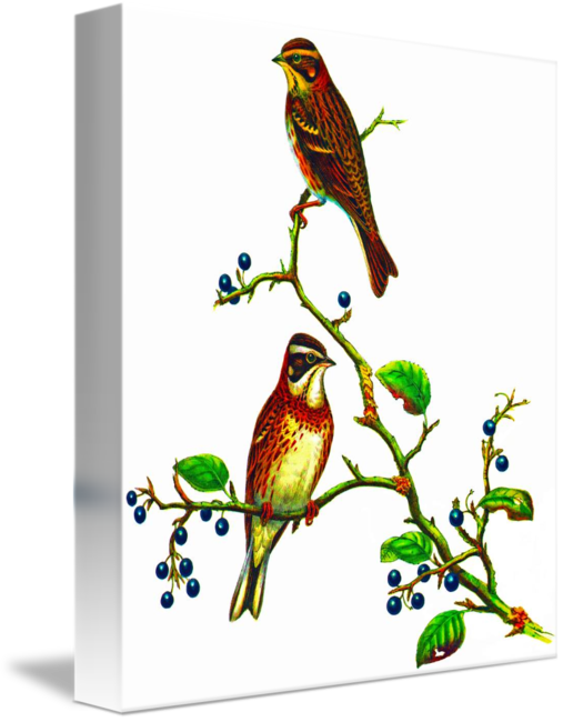 Rustic Arrow Clip Art - Png Download (507x650), Png Download