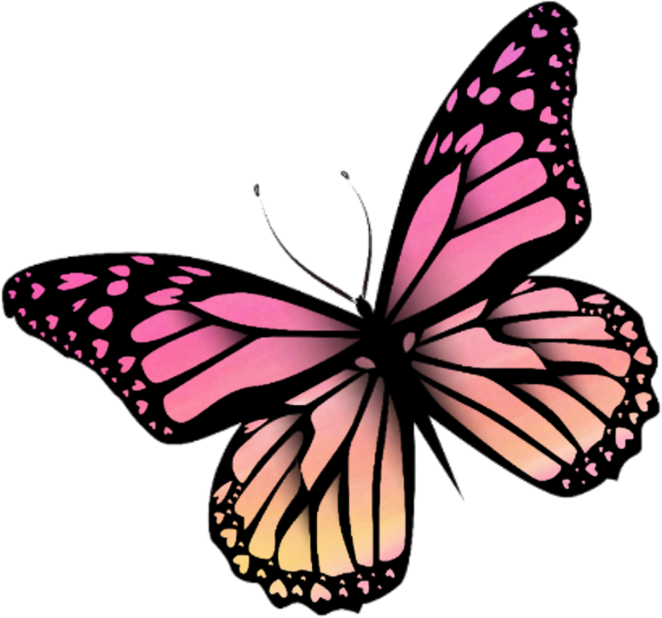 Butterfly Sticker Clipart (1024x963), Png Download