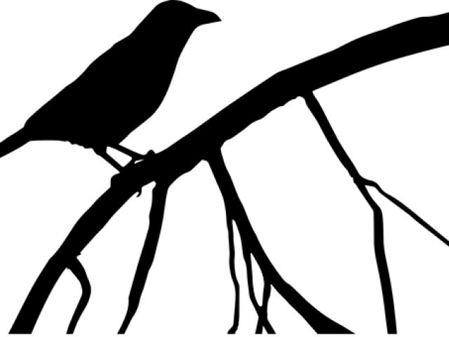 Raven Clipart Tree Silhouette - Png Download (640x480), Png Download