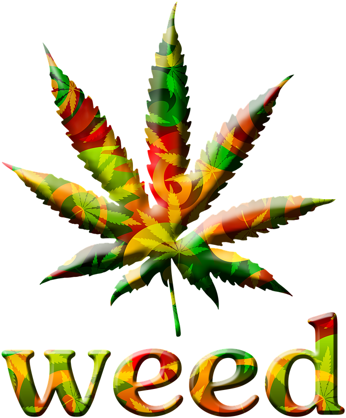 New Facts About Weed Clipart (1280x1280), Png Download