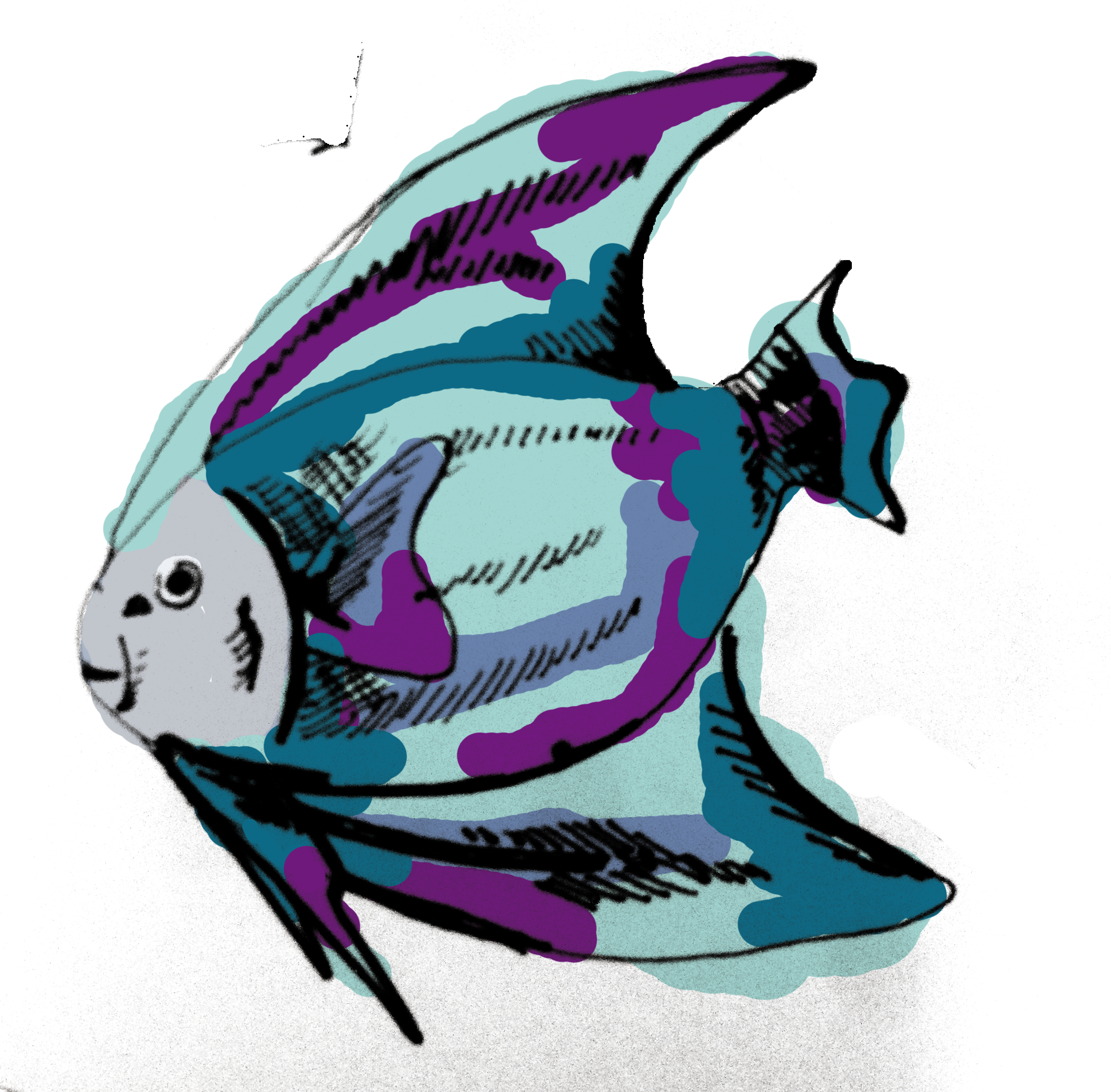 Fish Clipart (2448x2406), Png Download