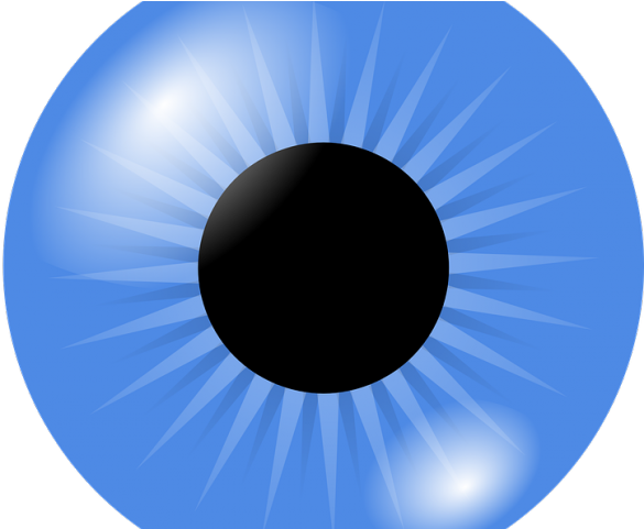 Blue Eyes Clipart Eye Ball - Png Download (640x480), Png Download