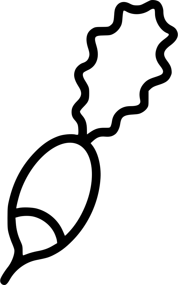 Radish Comments Clipart (612x980), Png Download