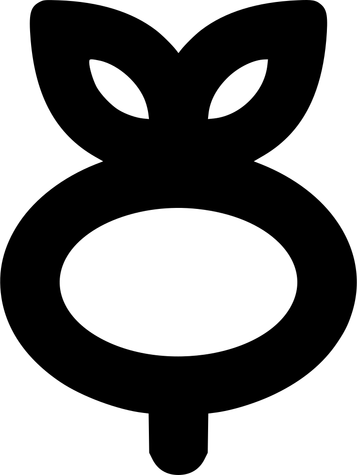 Radish Comments Clipart (736x980), Png Download