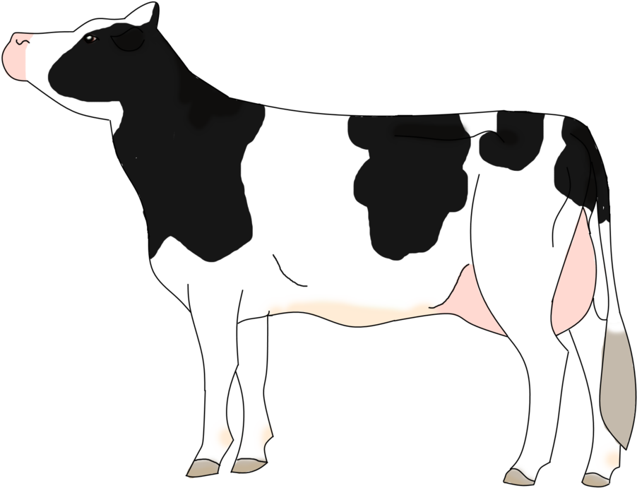 Beef Vector Hereford Cow Clipart (1024x749), Png Download