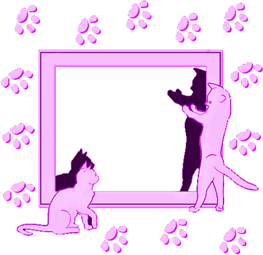 Mq Pink Cats Footstep Footprint Frame Clipart (1024x1024), Png Download