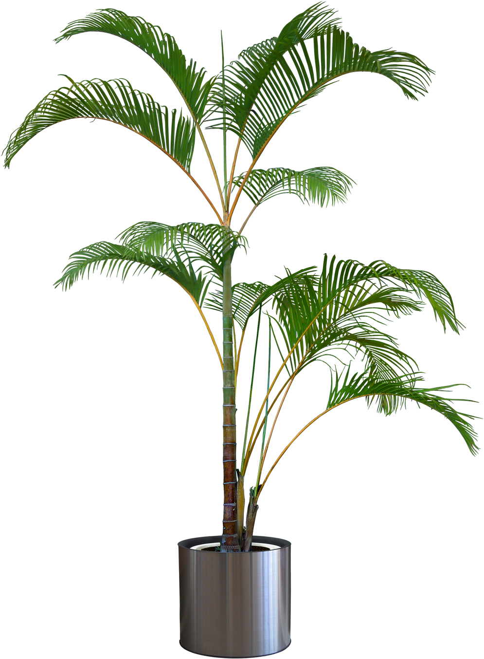 Trees With Transparent Background I Clipart (1020x1400), Png Download